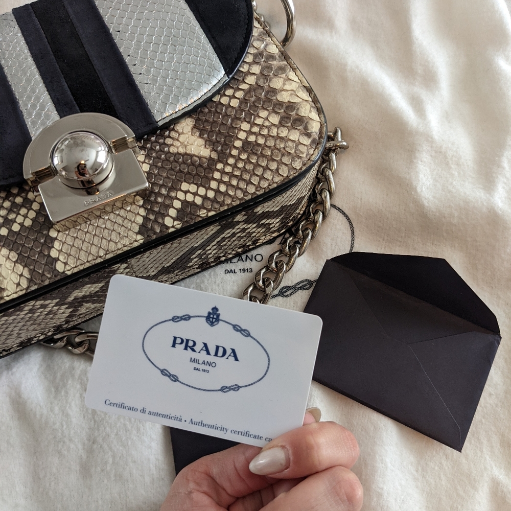 Prada 💎 Python & Ayers Arcade Bag - Picture 10 of 11